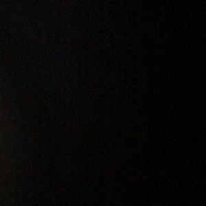 Meet your Posher, Jessie